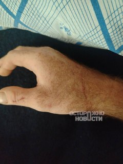 Иллюстрация 4