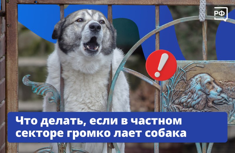 Как бороться с шумными соседскими собаками: юридический гайд