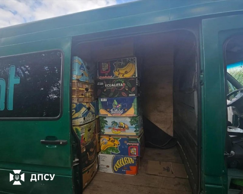 Иллюстрация 2