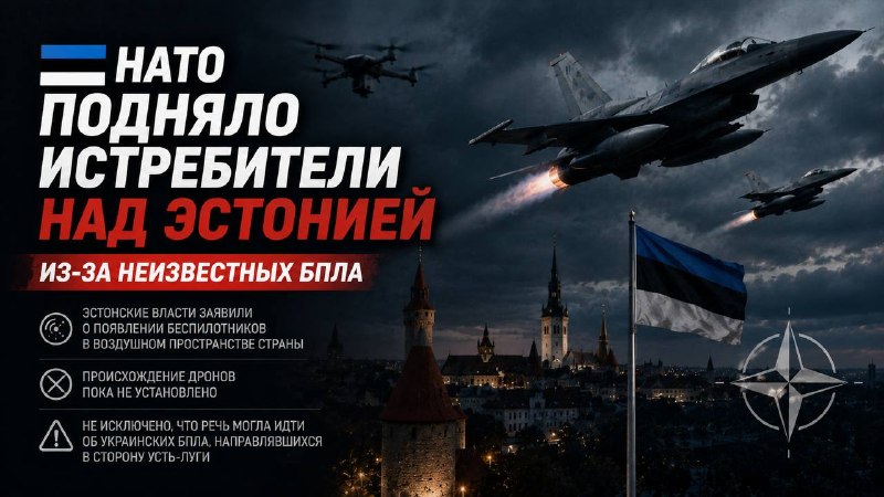 Глава МИД Эстонии сообщила о поднятии истребителей НАТО из-за БПЛА