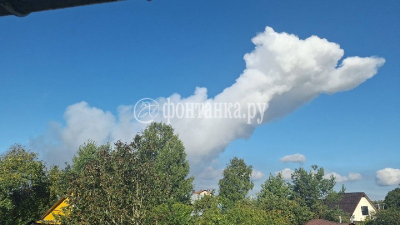 Взрыв газового баллона на свалке в Янино