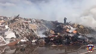 Иллюстрация 1