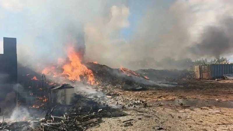 Площадь пожара на свалке в Колтушах выросла на 1 тысячу квадратов