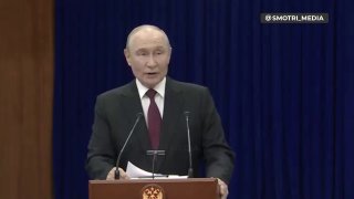 Иллюстрация 1