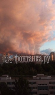 Иллюстрация 5