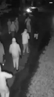 Жестокое нападение мафии в Нидерландах: погиб охранник и ранены полицейские