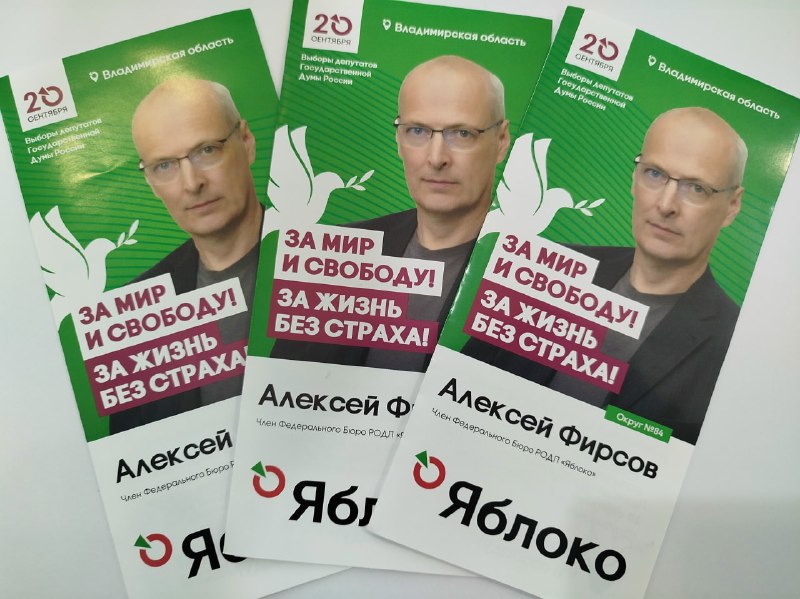 Избирком Владимирской области запретил кандидату от «Яблока» распространять агитацию из-за проверки на экстремизм
