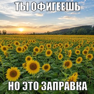 На ВЭФ 2026 представили проект «Газпром нефти» по созданию экологичного топлива для судов