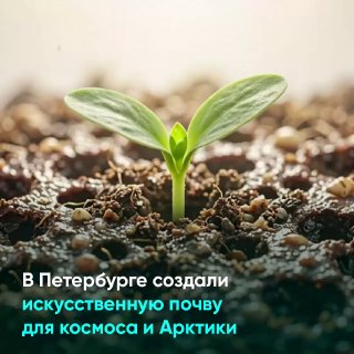 Российские учёные создали почву для выращивания растений в космосе и экстремальных условиях