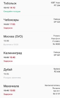 В Пулково задерживают рейсы из-за сильного дождя