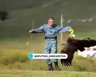 В Кыргызстане беркут напал на милиционера во время Всемирных игр кочевников