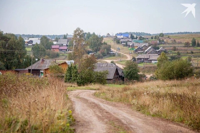 Иллюстрация 1