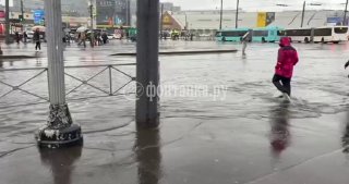 Бассейн под открытым небом открылся около «Пионерской»