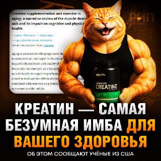 Креатин — настоящий эликсир молодости: новые свойства добавки