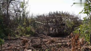 Иллюстрация 1