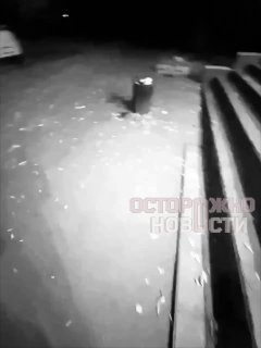 Студентам ВГИКа угрожают отчислением за жалобы на крыс в общежитии