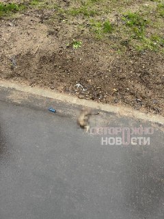 Иллюстрация 3