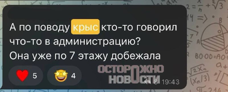 Иллюстрация 5