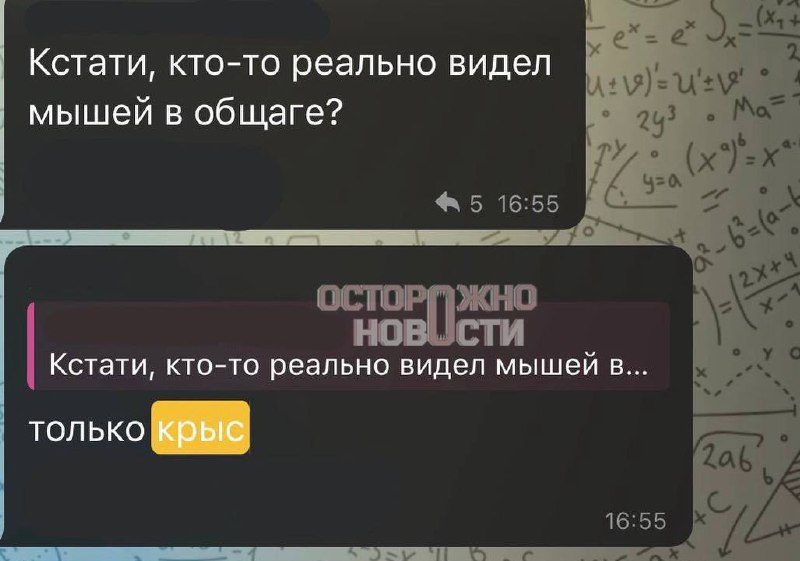 Иллюстрация 6