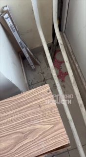 Иллюстрация 1