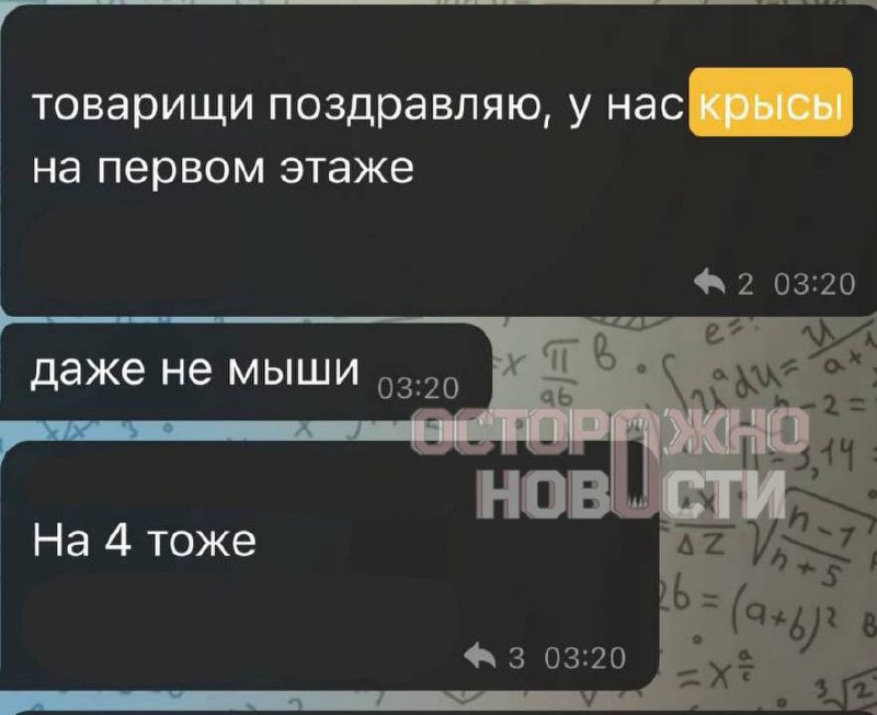 Иллюстрация 8