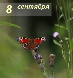 Памятные даты космонавтики: 8 сентября