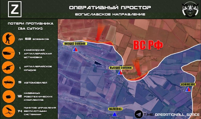 Бои за Низшее и Высшее Солёное на Богуславском направлении