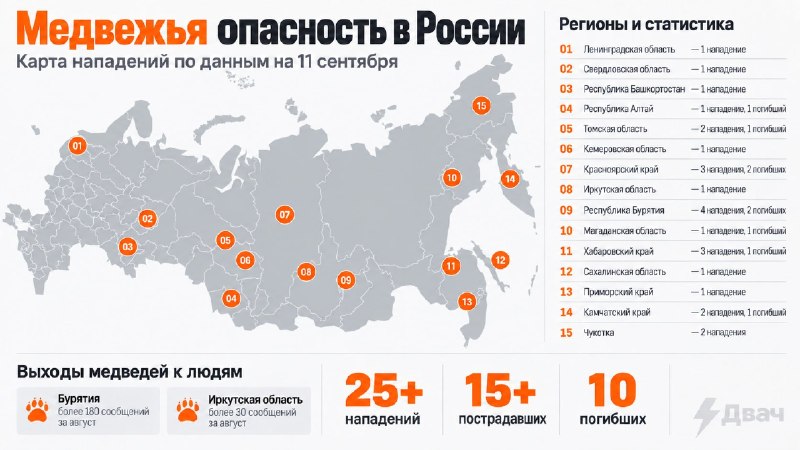 В 41 регионе России зафиксированы выходы медведей к населенным пунктам