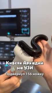 В московскую клинику принесли многоножку с подозрением на перелом ноги