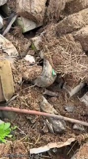 Сообщается о колоссальных потерях ВСУ в живой силе и технике под ударами российских войск