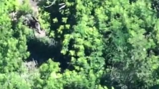 Забайкальцы из 430-го полка уничтожили живую силу ВСУ