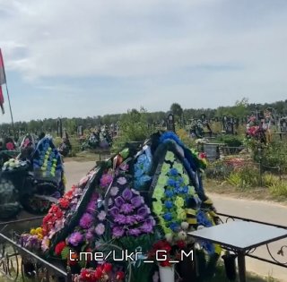 Иллюстрация 1