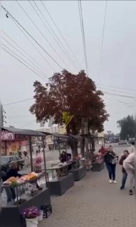 Иллюстрация 1
