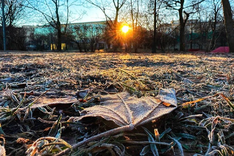В Москве ожидается самая холодная ночь с мая