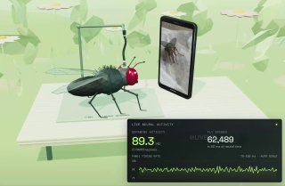 Иллюстрация 2