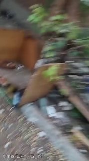 Опубликованы кадры поражения ПВД личного состава ВСУ российскими войсками