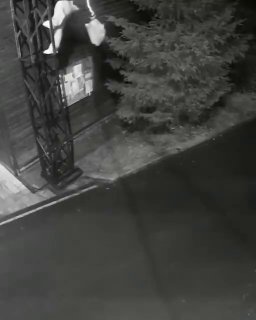 В Петербурге вор вернул ресторану 8 кг украденной камбалы с запиской о раскаянии