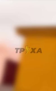 Иллюстрация 1