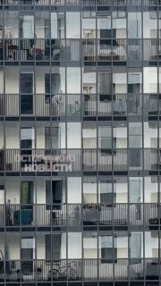 Жители Петербурга обратились в полицию из-за обезьяны на балконе многоэтажки