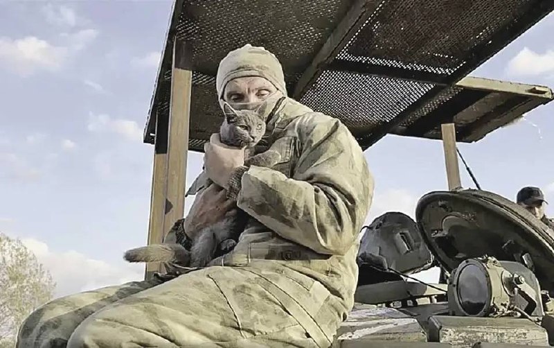 Будни танковых экипажей на передовой под Кременной