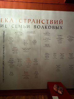 Иллюстрация 10