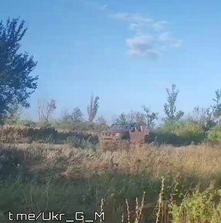Опубликованы кадры поврежденного автомобиля ВСУ на фронте