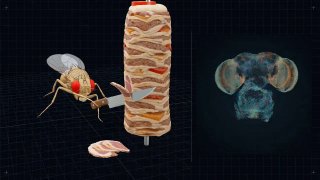 Иллюстрация 1