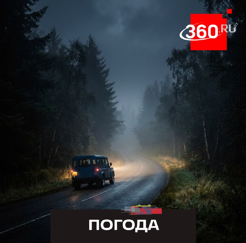 В московском регионе объявлен «желтый» уровень погодной опасности из-за тумана