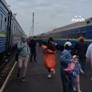 Иллюстрация 1