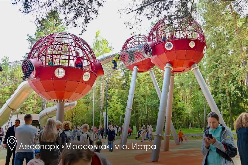 Иллюстрация 6