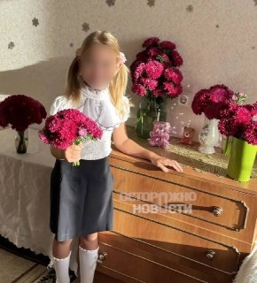 Иллюстрация 3
