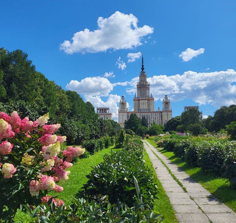 В Москву на этой неделе вернётся жара до +29 градусов