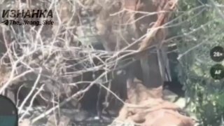 Уничтожение САУ AS-90 «Braveheart» ВСУ на Запорожском фронте