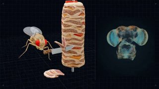 Иллюстрация 1